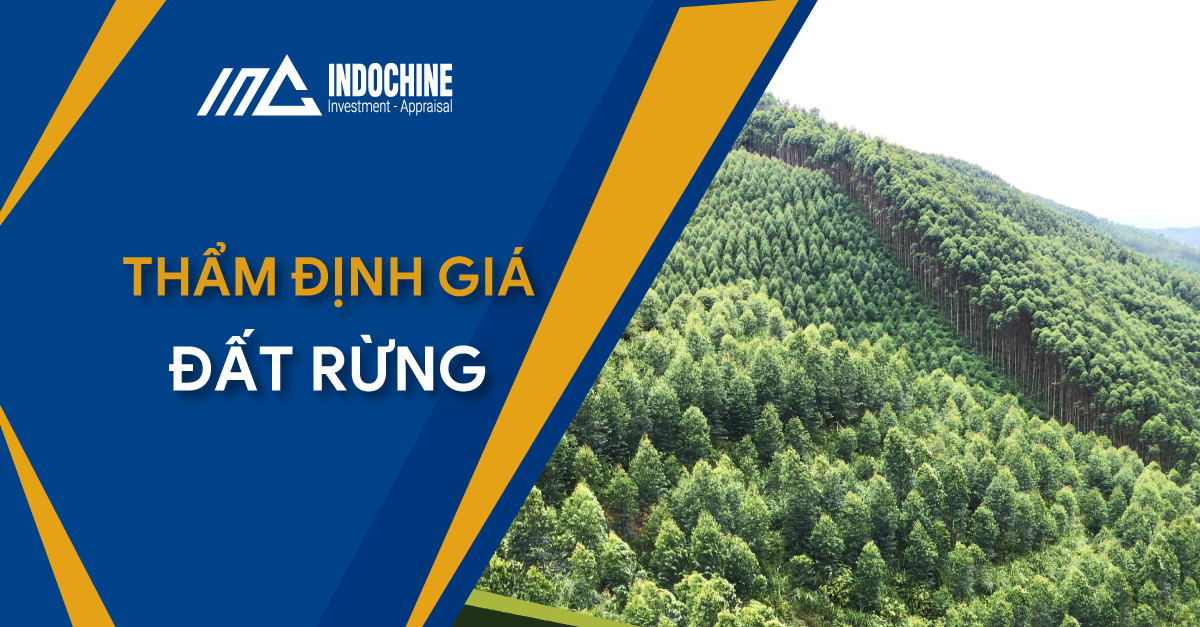 THẨM ĐỊNH GIÁ ĐẤT RỪNG 